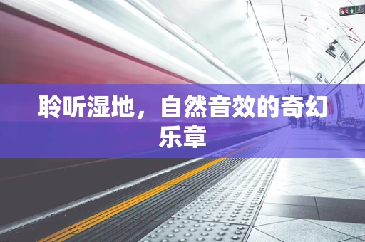 聆听湿地，自然音效的奇幻乐章